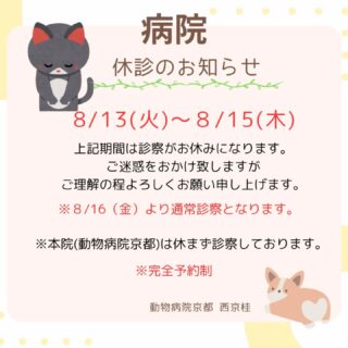 8月獣医師勤務表と休診のご案内です。

8/13(火)〜8/15(木)が休診で8/16(金)より通常診察となります。

獣医師勤務表と休診の案内はハイライトでもご確認いただけます🙂

ご迷惑をおかけいたしますが、よろしくお願いいたします🙇

#動物病院京都西京桂　＃獣医師勤務表
#休診の案内