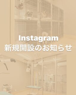 the trimming西京桂店　雅　です🌱

📢当店のInstagramアカウント新規開設します✨

このたび、病院の移転に伴い、the trimming西京桂店のInstagramアカウントを新しく開設することになりました🎉

これまで病院との共同アカウントで投稿をご覧いただいていた皆様には【2025年2月1日より】新アカウントでの投稿をお届けいたします。
新アカウントでは、トリミング後のわんちゃんたちの写真や、キャンペーン情報、各種ご案内を引き続きお楽しみいただけます🐶

アカウントは別となりますが、今後もお客様のわんちゃんに安心してご利用いただけるサロンとして、より病院とも連携を強化していきます。

詳しくは店頭スタッフまでお気軽にお声がけください。
皆さまのフォローを心よりお待ちしております🐾