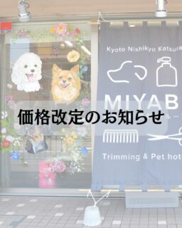 【トリミング・ペットホテル料金改定のお知らせ】

平素よりthe trimming西京桂店 雅をご利用いただき、誠にありがとうございます。

当店では、これまで、お客様にご満足いただけるよう、スタッフの技術向上と価格の維持に努めてまいりましたが、より良いサービスのご提供と安心してご利用いただける環境を維持するために、2025年3月1日よりトリミング及びホテルサービスの料金を改定させていただくこととなりました。
詳細はHPのお知らせよりご確認ください。

今後も、お客様の大切なわんちゃんへ、快適で丁寧なケアを提供し、より一層お客様にご満足いただけるよう、スタッフ一同サービス向上に尽力して参ります。
そして、お客様に「利用して良かった！」と感じていただけるサロンをこれまで以上に目指して参りますので、引き続き変わらぬご愛顧をお願い申し上げます。

ご不明な点がございましたら、どうぞお気軽にスタッフまでお問い合わせください。

the trimming西京桂店 雅
スタッフ一同