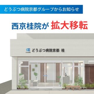 🐶🐱

🏥 2024年2月14日(金)
「動物病院 京都 西京桂院」は
「CUaREどうぶつ病院京都 桂」として
新たに生まれ変わります✨

📍 現在地から約100m西へ移転
 今まで当院に通っていただいた飼い主様にも引き続き安心して通っていただけます😊

💊 当院の特徴
・駐車場と駐輪場を敷地内に完備 ≪NEW≫
・西京区唯一のJAHA獣医内科認定医による治療
・グループ院と連携し幅広い外科診療・手術に対応
・LINEで24時間簡単予約

📆診療時間
・ 午前：9:30～12:30
・ 午後：16:30～20:00 
※日曜・祝日は午前診療のみ

今回の移転に伴い、
これまで以上にどうぶつ様と飼い主様にとって
よりよいサービスをお届けできるようになりました。
何か少しでも不安なことがあればいつでも当院にご相談ください。

#どうぶつ病院京都 #CUaRE #西京区 #向日市 #大枝沓掛 #JAHA認定医 #京都動物病院 #移転改装 #開院 #動物病院  #獣医師 #愛玩動物看護師 #犬のいる暮らし #猫のいる暮らし