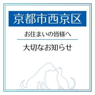 🐶🐱

予約不要・入場無料🌟
\ \ \ 2日間限定  内覧会開催 / / /

「CUaREどうぶつ病院京都 桂」
2024年2月14日(金の)移転開院に先立ちまして、
内覧会を開催いたします。
是非お気軽にお立ち寄りください✨

📅 開催日時
2月8日(土) 10:00～16:00
2月9日(日) 10:00～16:00

🎁 内覧者特典
①内覧された方全員に「ケアグッズセット」をプレゼント
②各日先着100名様に「内覧会限定特別記念品」をプレゼント
※②は内覧会当日に次回の診察ご予約をいただいた方が対象です

💊 当院の特徴
・駐車場と駐輪場を敷地内に完備 ≪NEW≫
・西京区唯一のJAHA獣医内科認定医による治療
・グループ院と連携し幅広い外科診療・手術に対応
・LINEで24時間簡単予約

🐾 内覧会の見どころ
・院内ツアー：新しい院内設備や雰囲気をいち早くチェック
・スタッフとの直接相談：治療やどうぶつのケアについて気になることがあればお気軽にお声かけください

📍 アクセス
現在の病院から約100m西へ移転
※詳細な地図は投稿画像をスワイプしてご確認ください

どなたでもお気軽にお立ち寄りください
皆様のご来場をスタッフ一同、
心よりお待ちしております。

#どうぶつ病院京都 #CUaRE #西京区 #向日市 #大枝沓掛 #JAHA認定医 #京都動物病院 #移転改装 #開院 #動物病院  #獣医師 #愛玩動物看護師 #犬のいる暮らし #猫のいる暮らし #内覧会